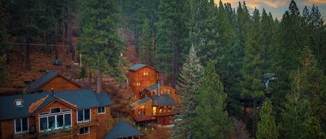 A wooden cabin complex surrounded by dense forest.