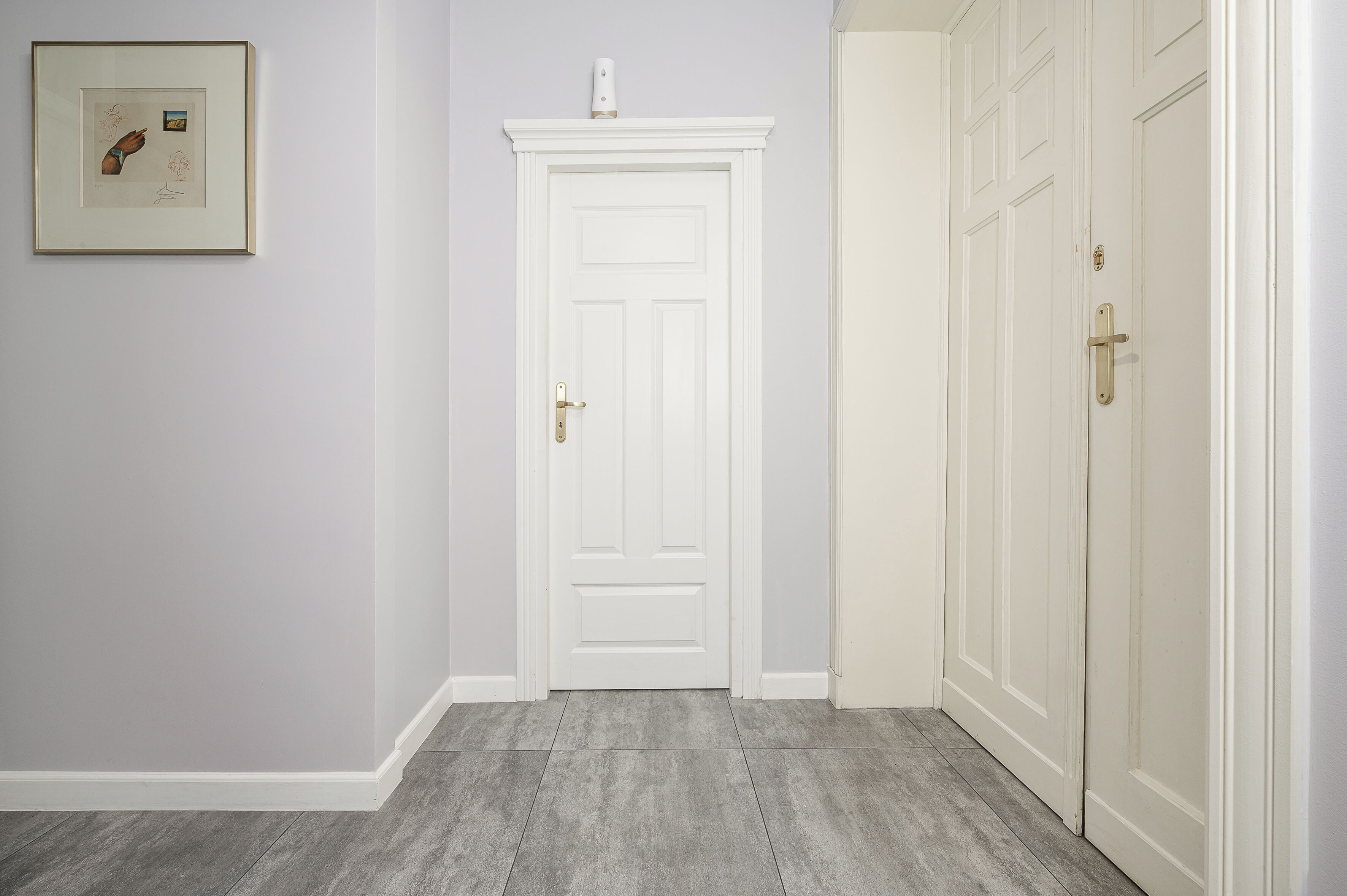 A hallway with a white door, a framed picture on the wall, and a light switch above the door.