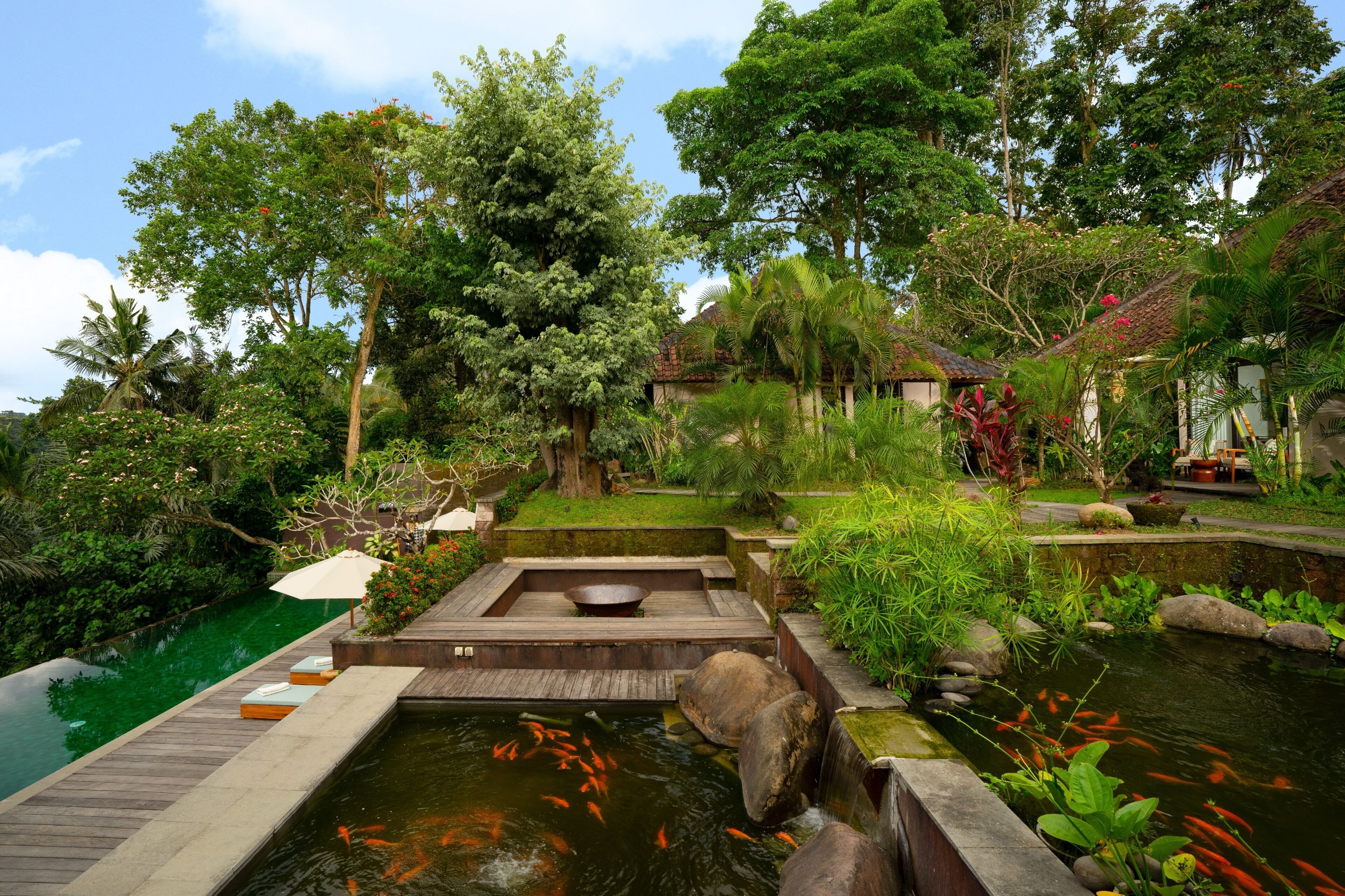A serene garden with a koi pond, wooden deck, and lush greenery.