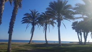 On the beach