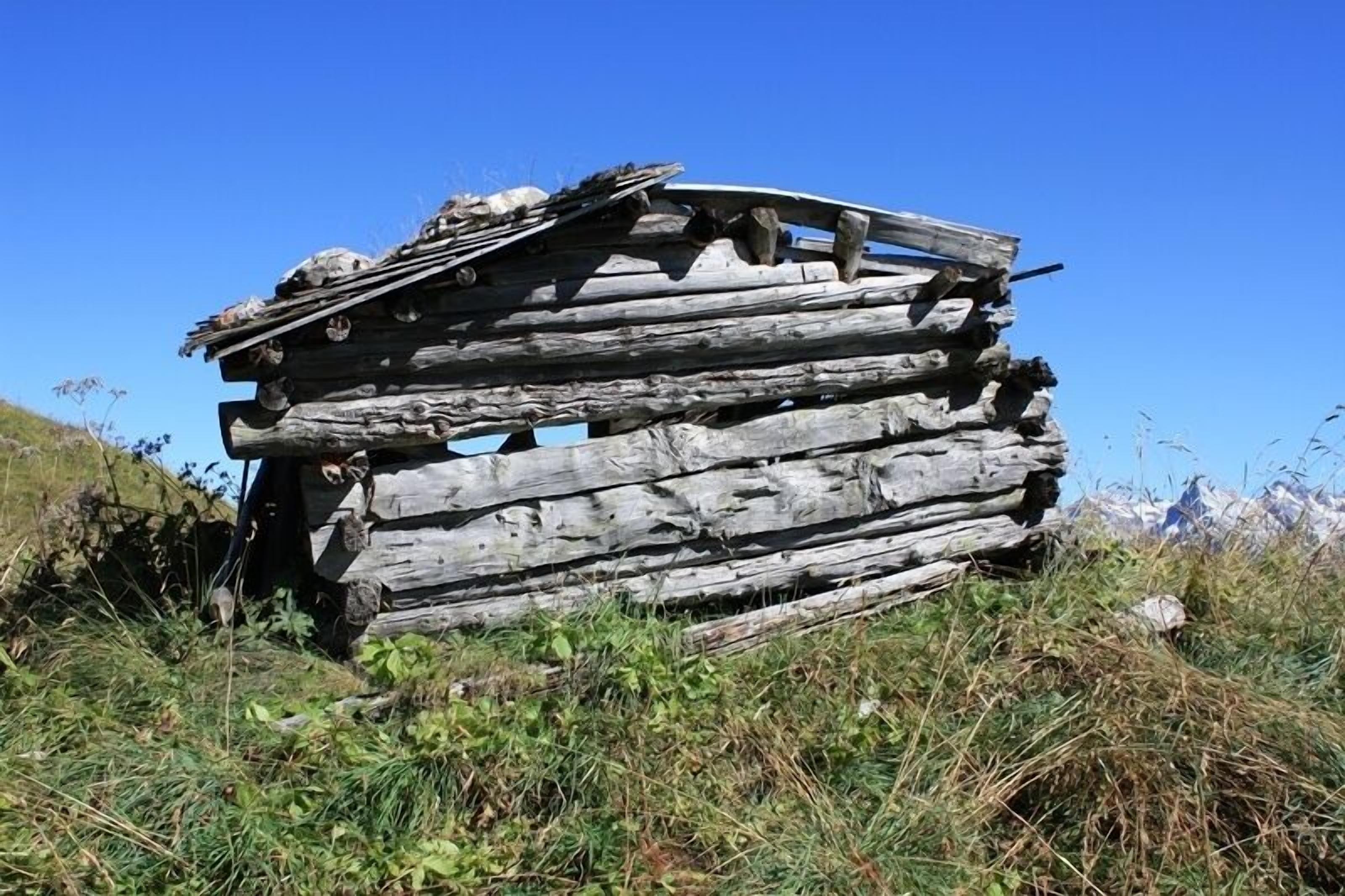 A dilapidated wooden structure with a slanted roof, surrounded by grass and wildflowers.