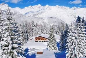 Paseos con raquetas de nieve