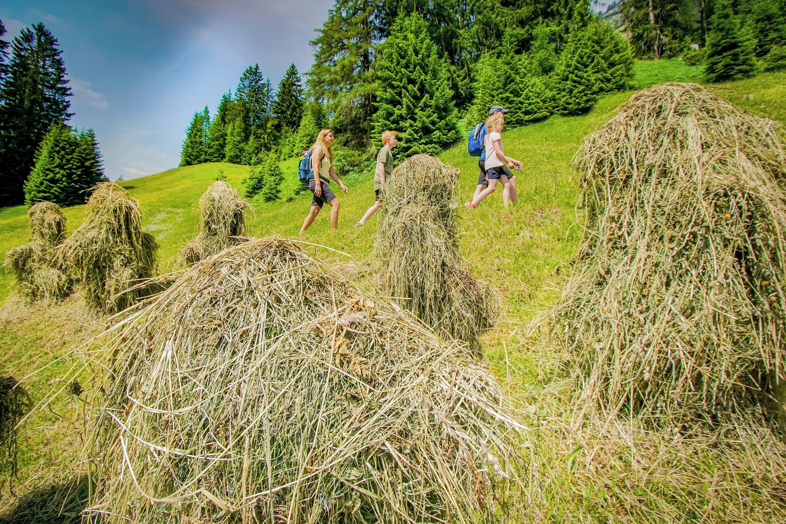 A group of people hiking on a grassy hill with hay bales.
