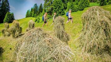 A group of people hiking on a grassy hill with hay bales.