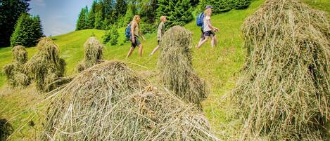 A group of people hiking on a grassy hill with hay bales.