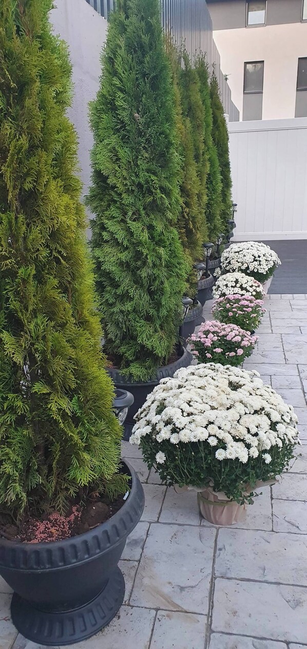 Enceinte de l’hébergement