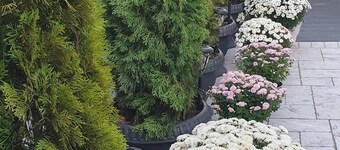 The Little House in Copou