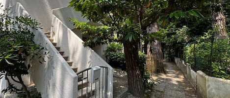 정원