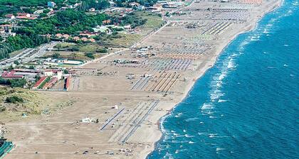 Cozy Apartment in the Heart of the Pinewood