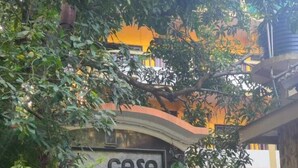 Μια αυλή με μια πινακίδα που γράφει «CASA ROIZ», περιτριγυρισμένη από φυτά σε γλάστρες και με πέτρινο δάπεδο.