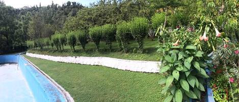 A poolside area with a stone wall and a grassy lawn.