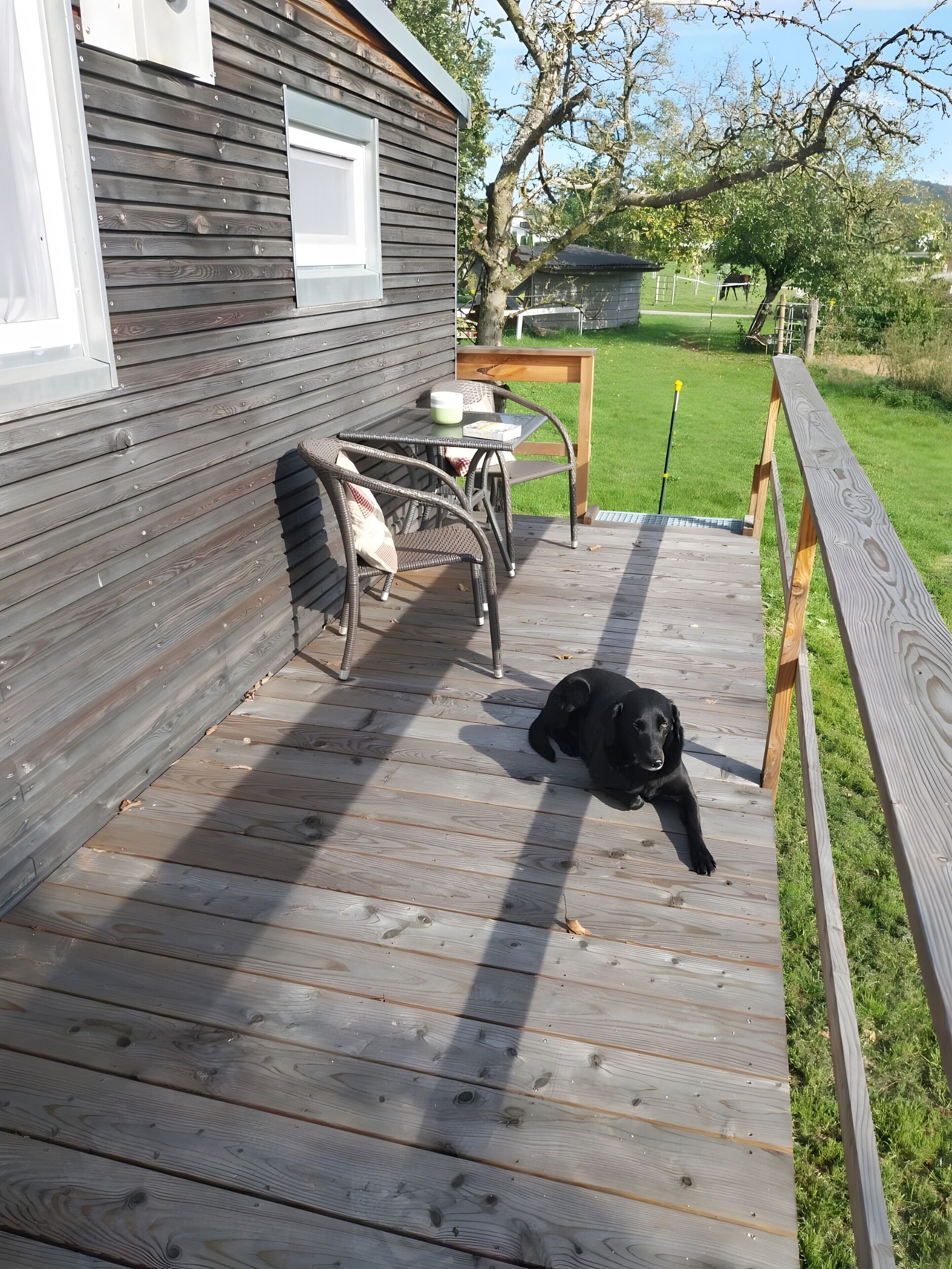 Une terrasse en bois avec une table et des chaises, un chien allongé sur la terrasse, et une pelouse verdoyante en arrière-plan.