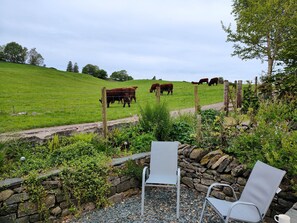 Terrain de l’hébergement 