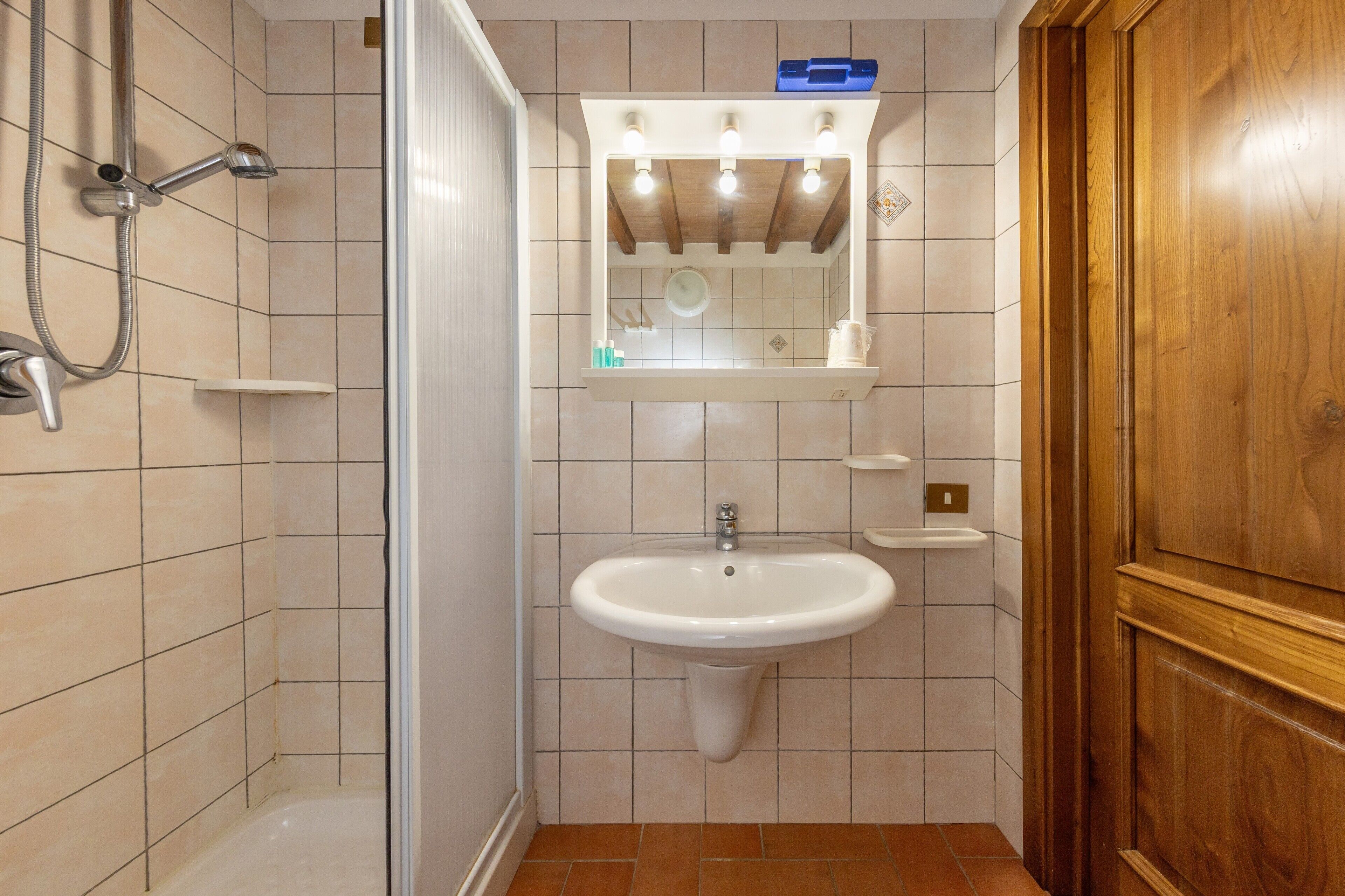 Une salle de bain avec une douche, un lavabo et un miroir.