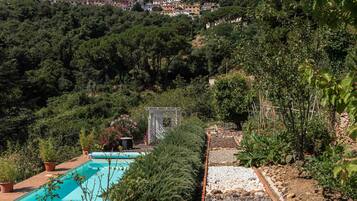 A pool surrounded by greenery, a small gazebo, and a hillside with buildings.