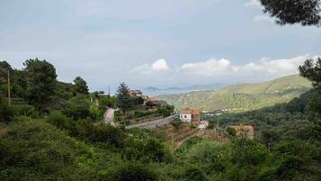 A hillside village with houses, a road, and a mountainous backdrop.
