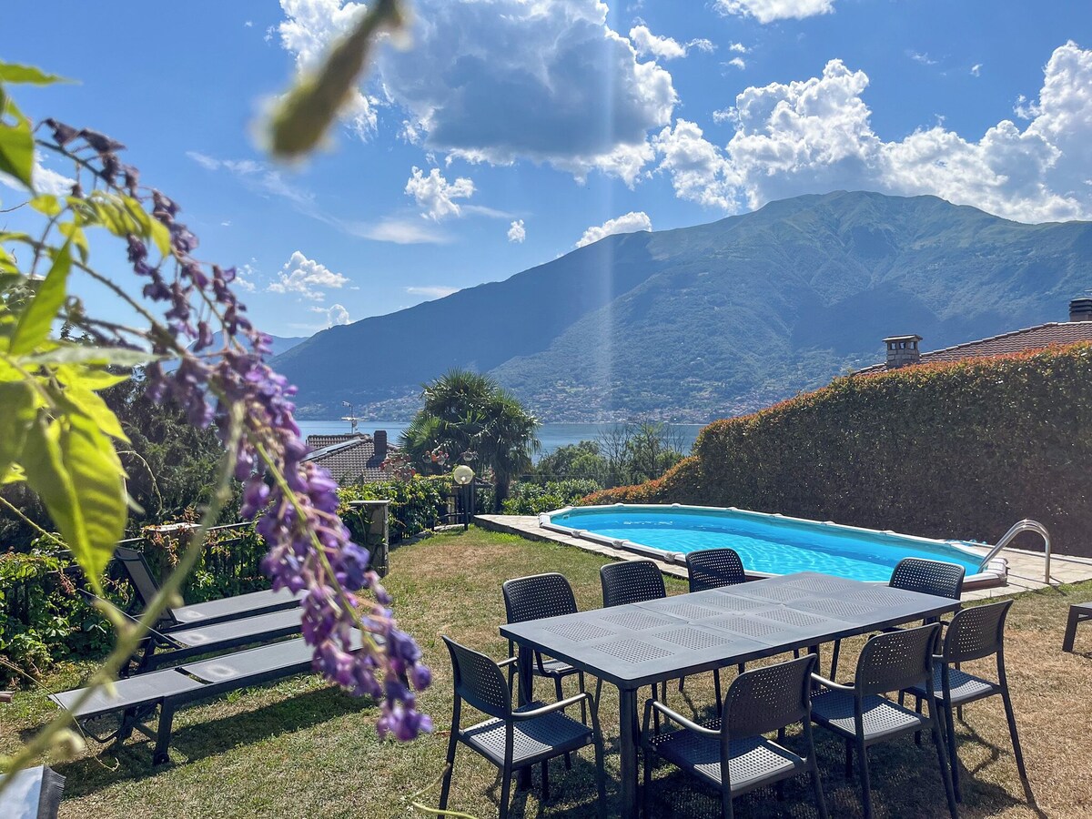 Imagen de perfil del propietario o de la propietaria