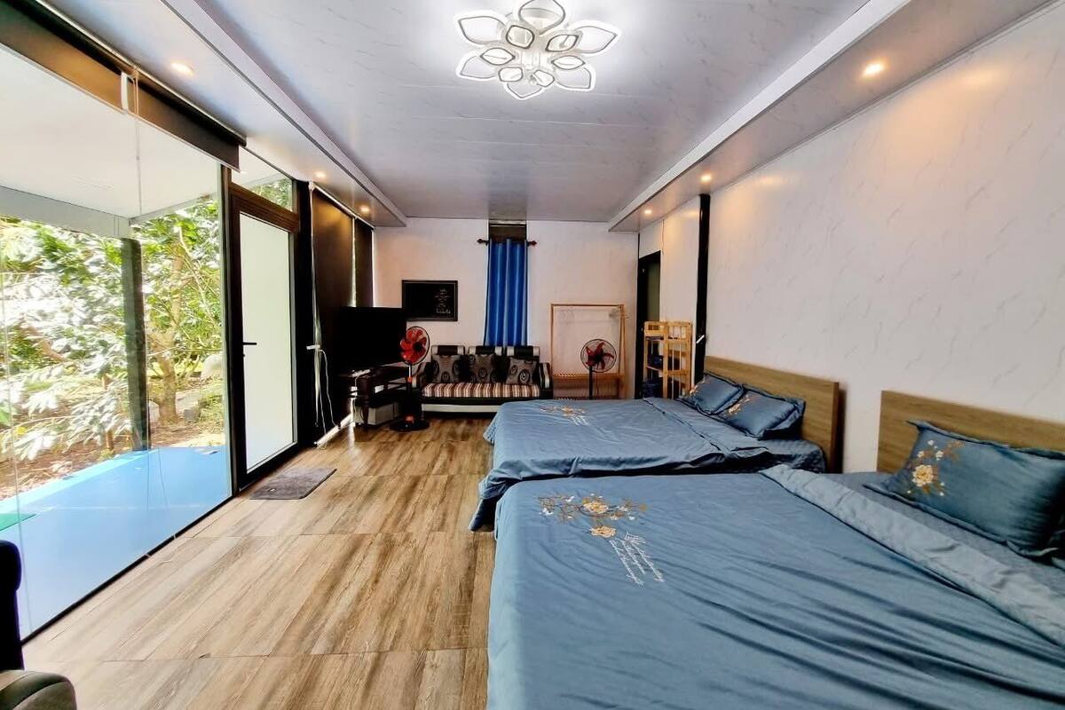 Une chambre moderne avec deux lits, une grande fenêtre et un luminaire au plafond.