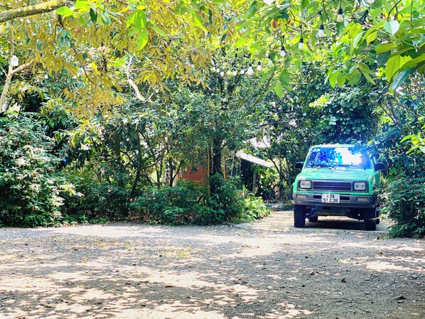 A green car parked on a gravel path surrounded by dense foliage.