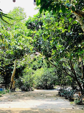 บริเวณภายนอก