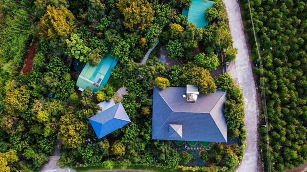 Garden view - Tropical Fruit Garden Homestay (Bao Loc)