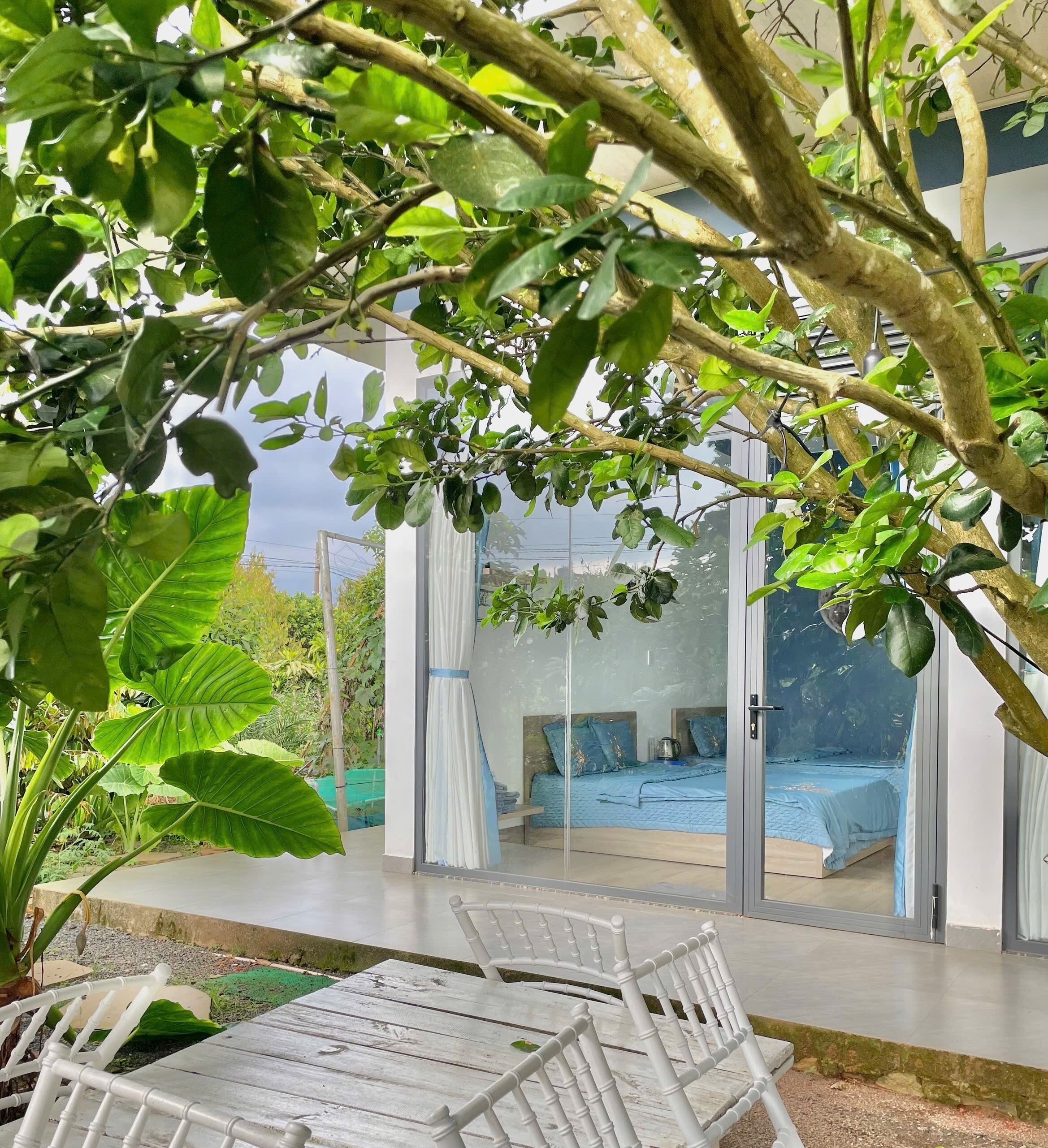 Standard Double Room, Garden View | Iron/ironing board, free WiFi