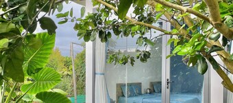 Tropical Fruit Garden Homestay