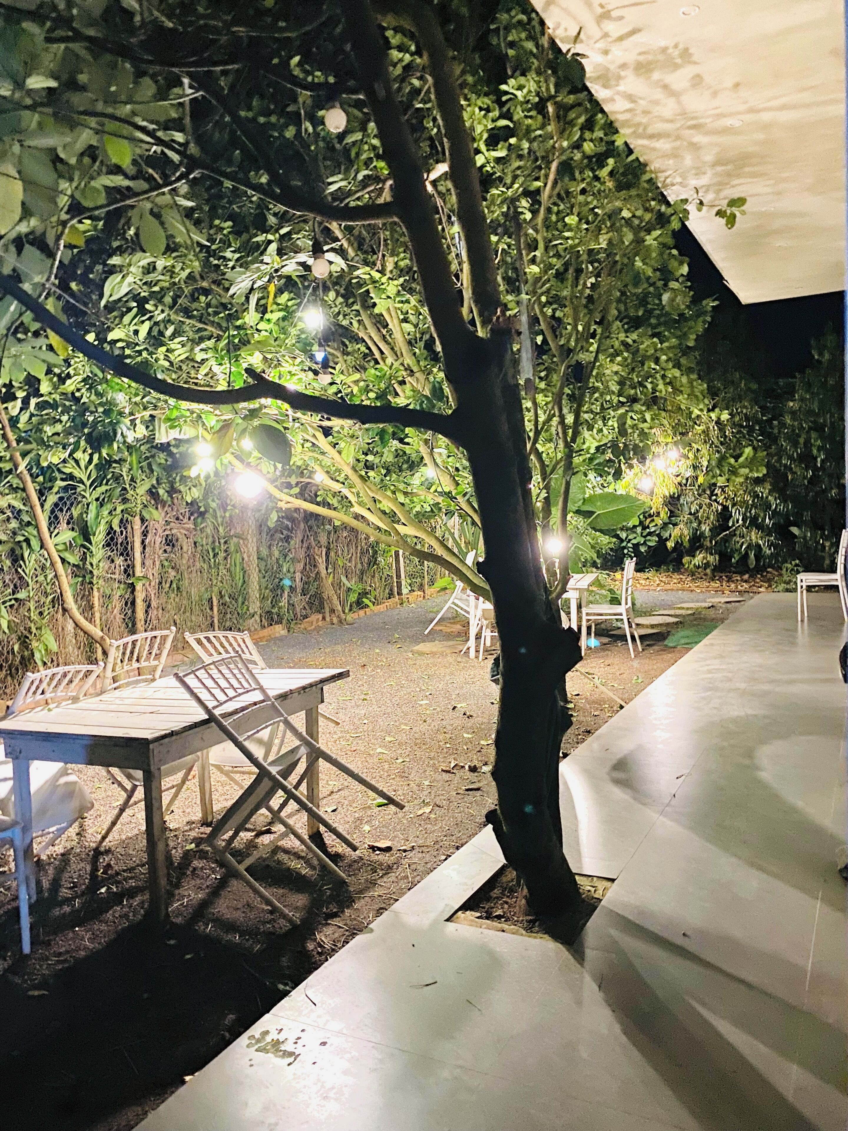 Un espace de restauration en plein air, avec des tables et des chaises disposées sous un arbre, entouré de verdure et illuminé par des guirlandes lumineuses.