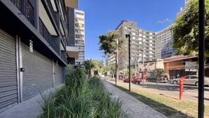 Een moderne stadstraat met een voetpad bezaaid met hoge grassen en een gebouw met een gesloten luik.