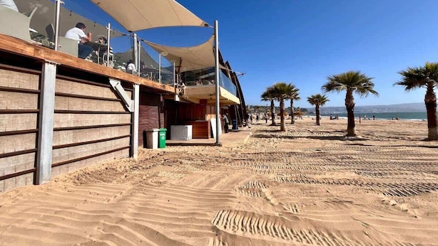 Un edificio frente a la playa con fachada de madera, un área de estar al aire libre cubierta y palmeras.