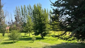 Casa | 3 dormitorios