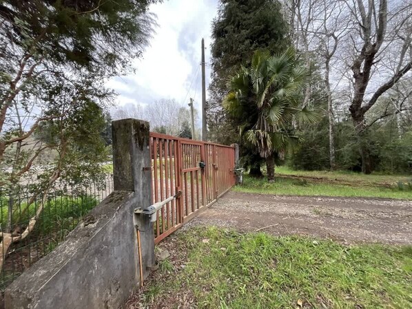 Apartment | 1 bedroom - Habitaci n Ma io con Desayuno Hostal Rukaleufu (Loncoche)