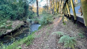 A forested area with a stream and a wooden bridge. - Caba a Roble BBQ Home Office Washer Wood Hot Tub (Loncoche)