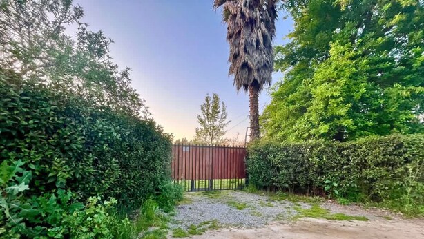 A gravel driveway leading to a gated area surrounded by dense greenery and a tall palm tree. - Casa Melipill n BBQ Jacuzzi Mini-pool Pet Wifi (Melipilla)