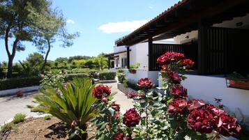 Habitación clásica doble | Terraza o patio