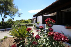 Classic Double Room | Terrace/patio