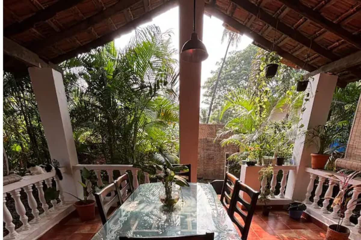 A covered outdoor dining area with a glass table and chairs, surrounded by potted plants and a view of lush greenery.
