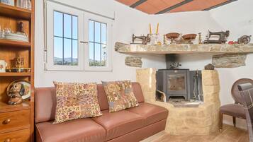 TV, fireplace, DVD player, ping pong