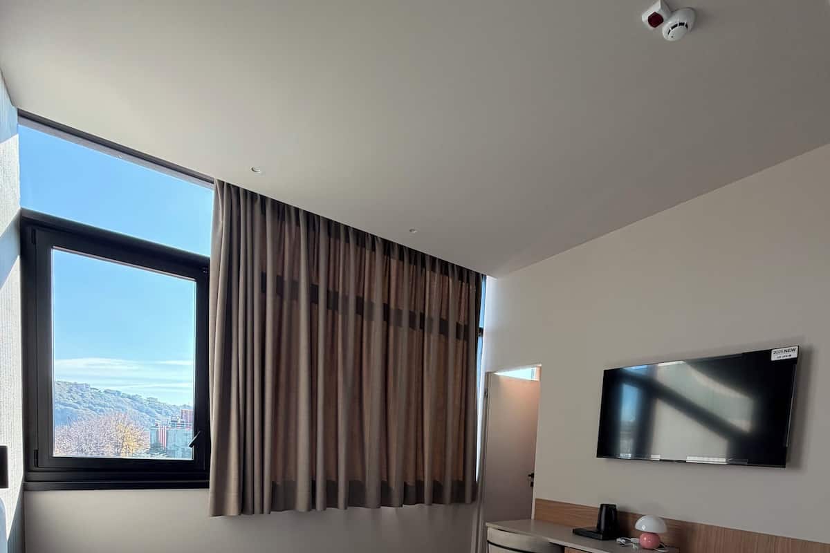 Habitación estándar con 2 camas individuales, vista a la ciudad | Caja de seguridad en la habitación, escritorio y insonorización