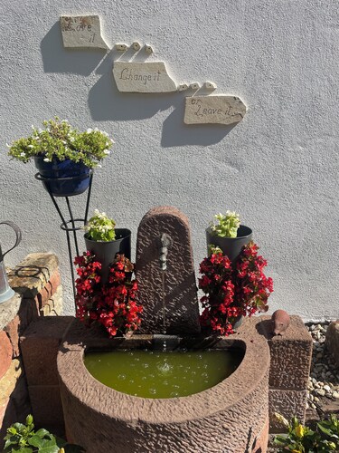  Grosses komfortables Fachwerkhaus  mit Innenhof im Herzen von Wissembourg