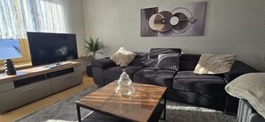 Televisión, chimenea y reproductor de DVD