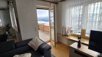 Televisión, chimenea y reproductor de DVD