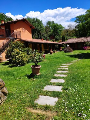 Property grounds - Apartment surrounded by nature in the heart of Tuscany (Castelfranco Piandiscó)