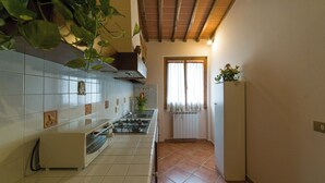 Une cuisine équipée d’une cuisinière, d’un évier et de placards, une fenêtre avec des rideaux et une plante suspendue au plafond.