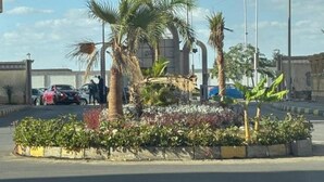A landscaped area with palm trees and flowering plants, a paved walkway, and a building in the background. - Comfortable Twin Room at Stay Inn 51 Hotel (Banī Ghālib)