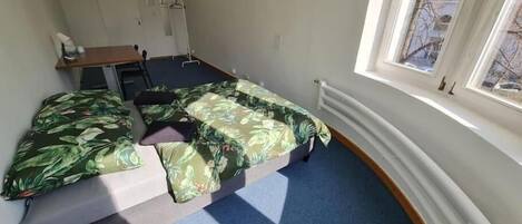 Iron/ironing board, free WiFi