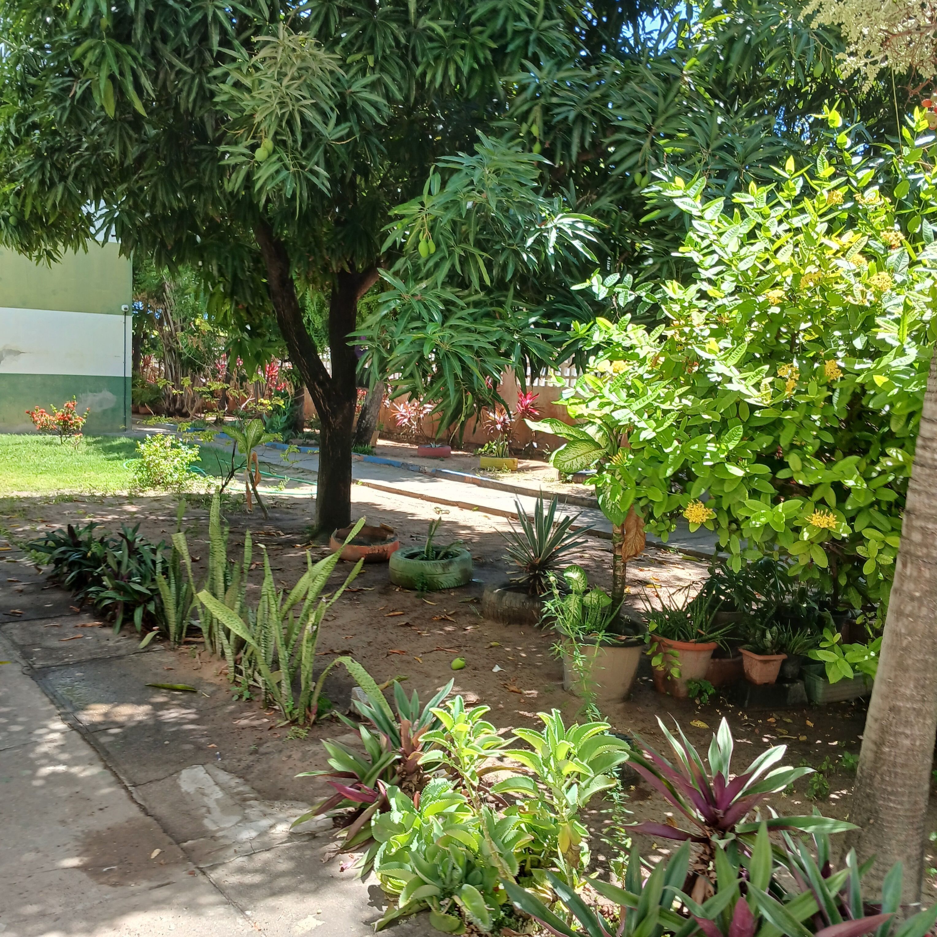 Terrein van de accommodatie