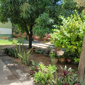 Terrein van de accommodatie