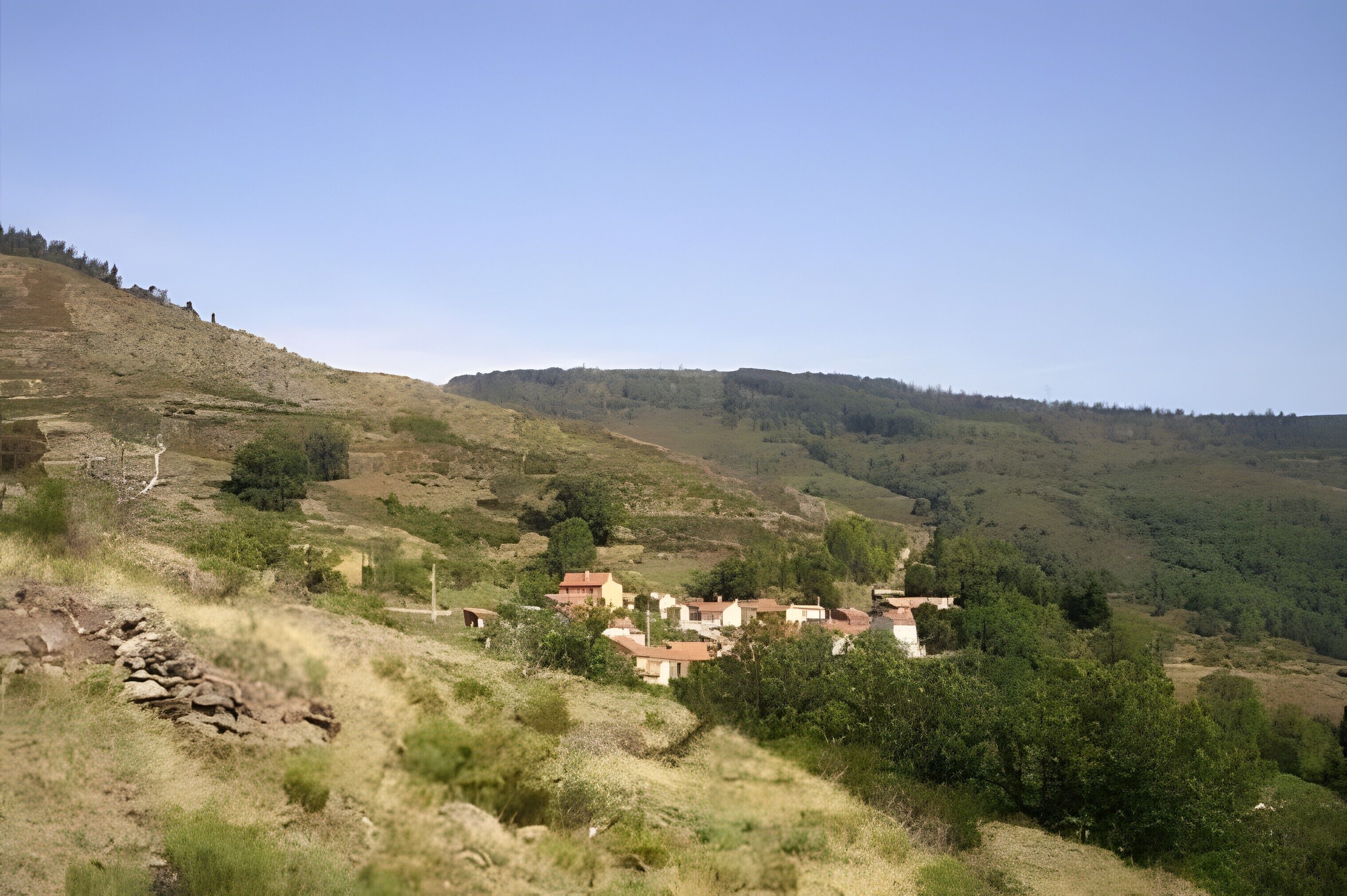 منوع