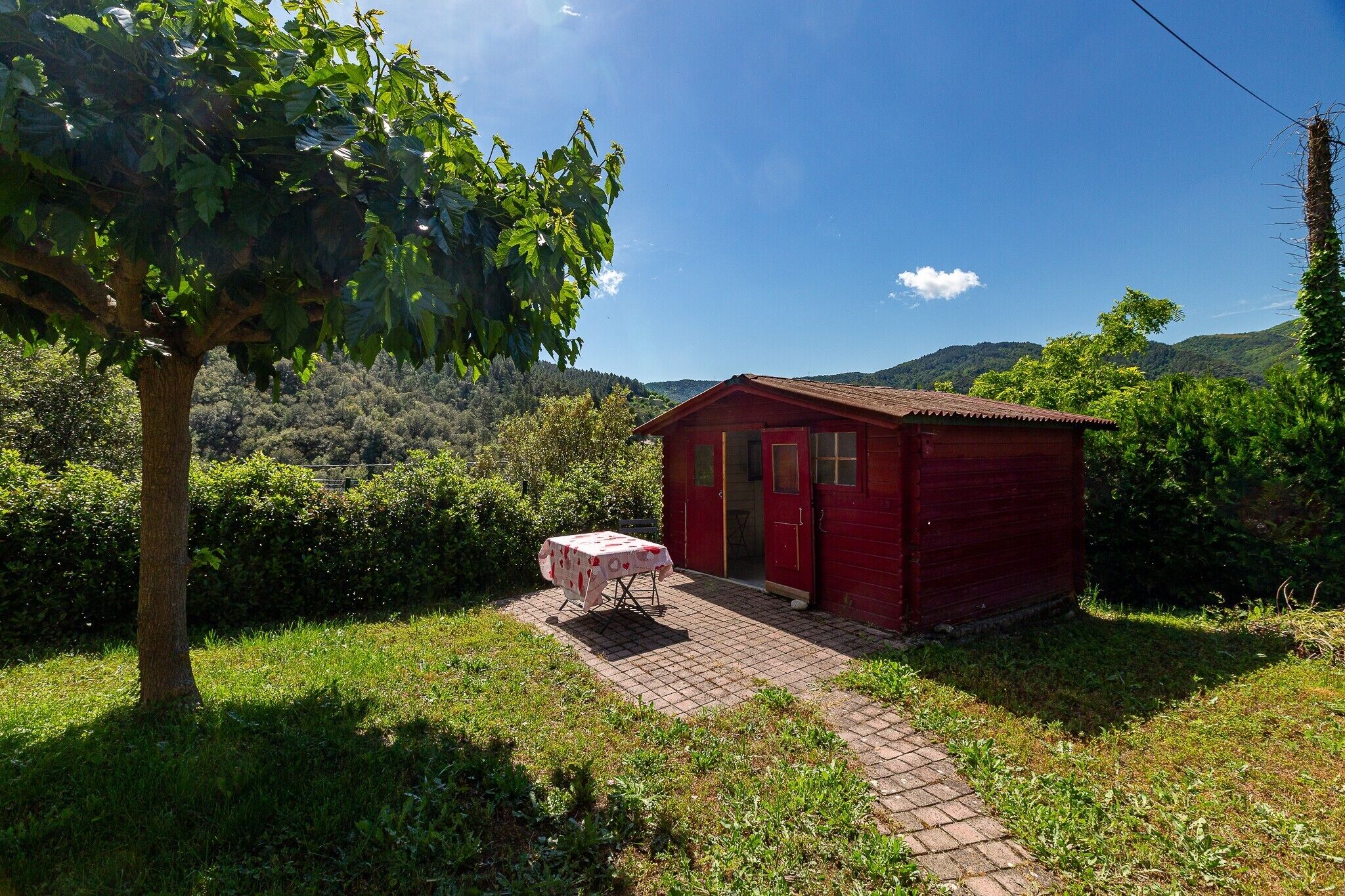 A red building with a door and windows, a paved area with a table and chairs, and a tree in the foreground.